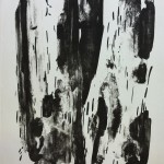 litho 2