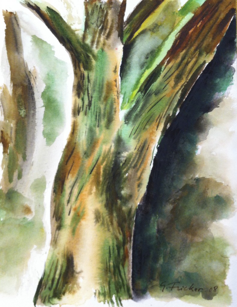 Eucalyptus