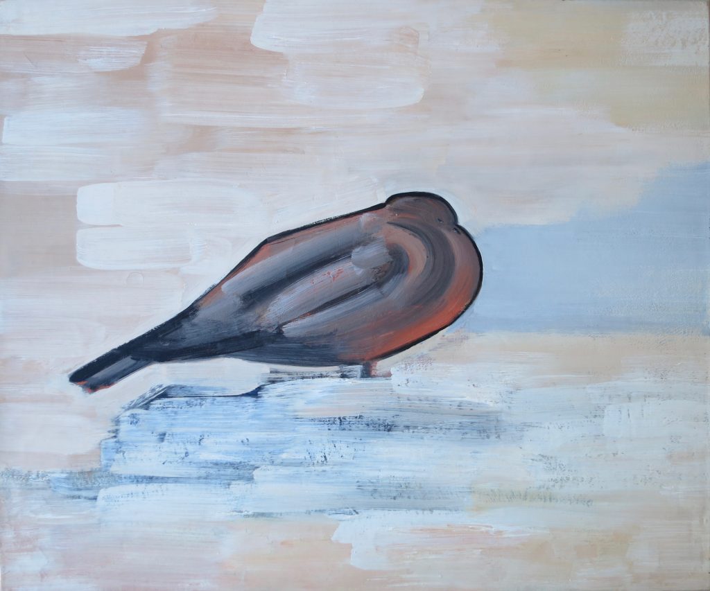 Pigeon en hiver