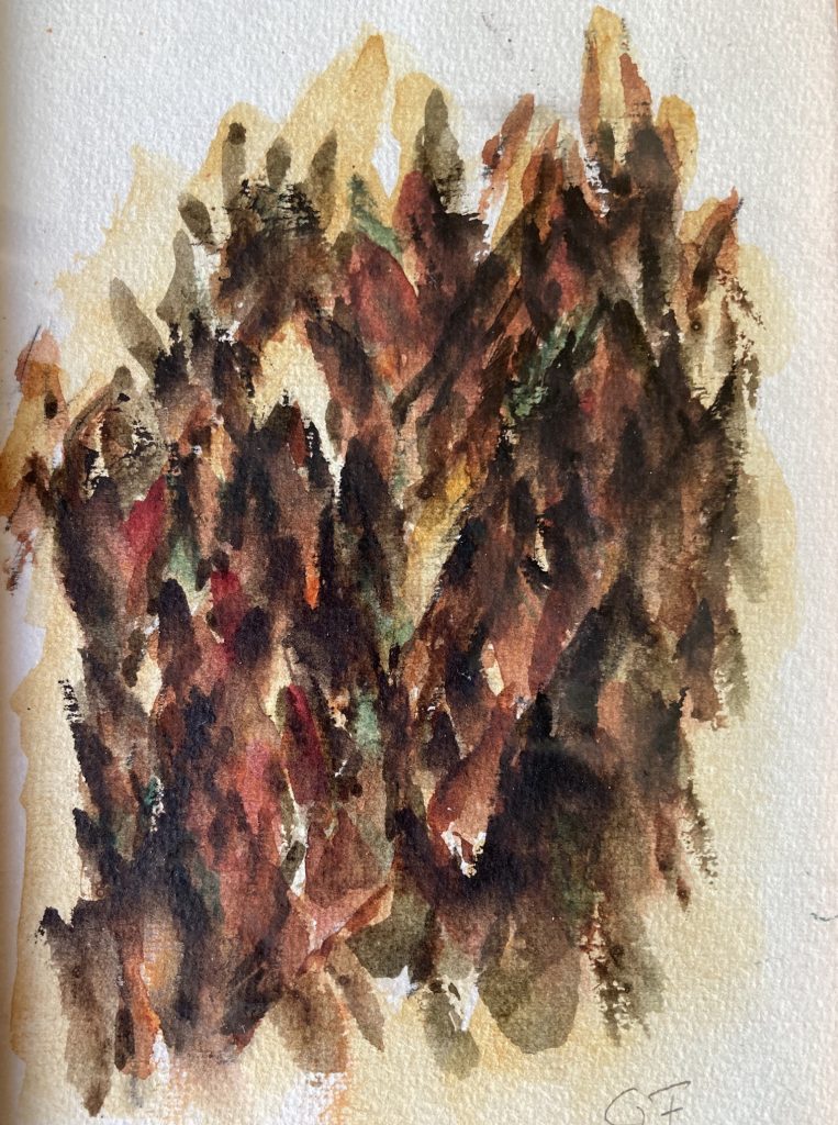Bark